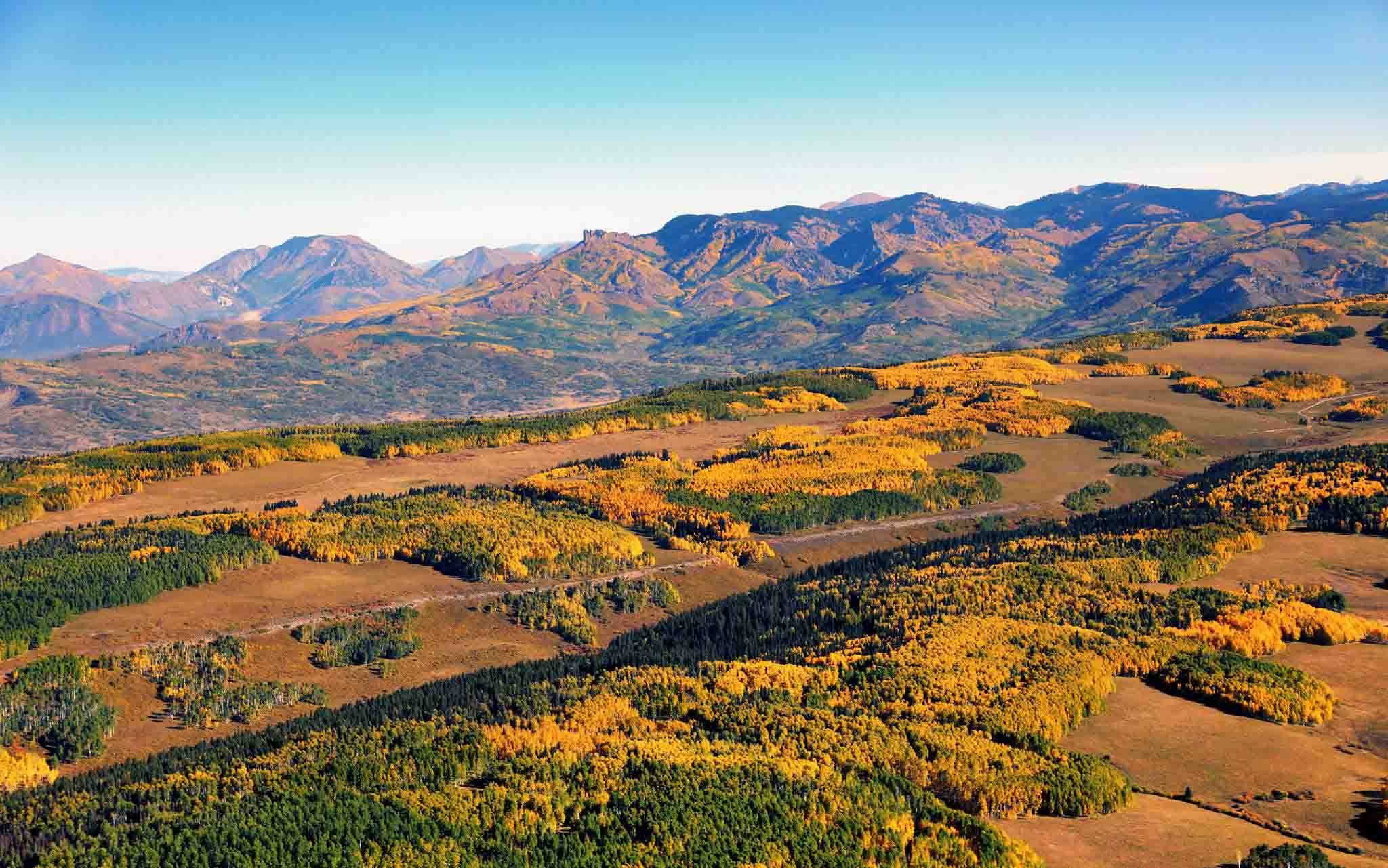 Fall Aerial detail image