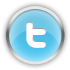 Chrome Twitter Icon detail image