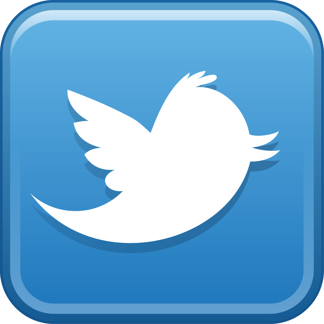 Twitter logo detail image