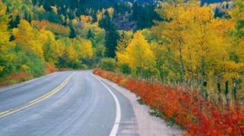 Fall Colors near Indian Peaks detail image