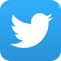 Twitter icon detail image