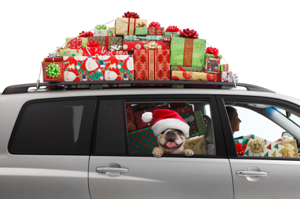 Holiday Driving detail image