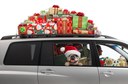 Lady in Car full of presents with dog looking out the side of the vehicle. thumbnail image