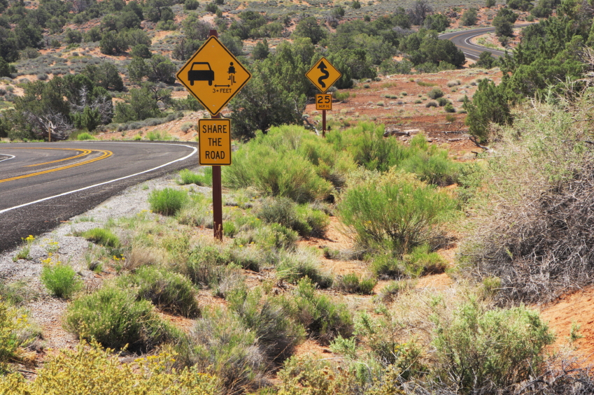 Share the Road sign detail image