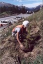 Tree Planting thumbnail image