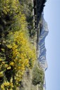 I-70, Book Cliffs begin where the Colorado River descends south through De Beque Canyon into the Grand Valley (near Palisade, Colorado)  thumbnail image