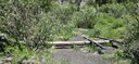 Downed pole along abandoned railroad near Vail. thumbnail image