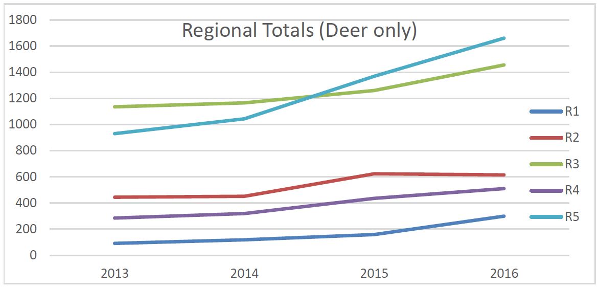 2016 Road Kill Regional - Deer only detail image