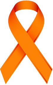 Orange Ribbon.jpg detail image
