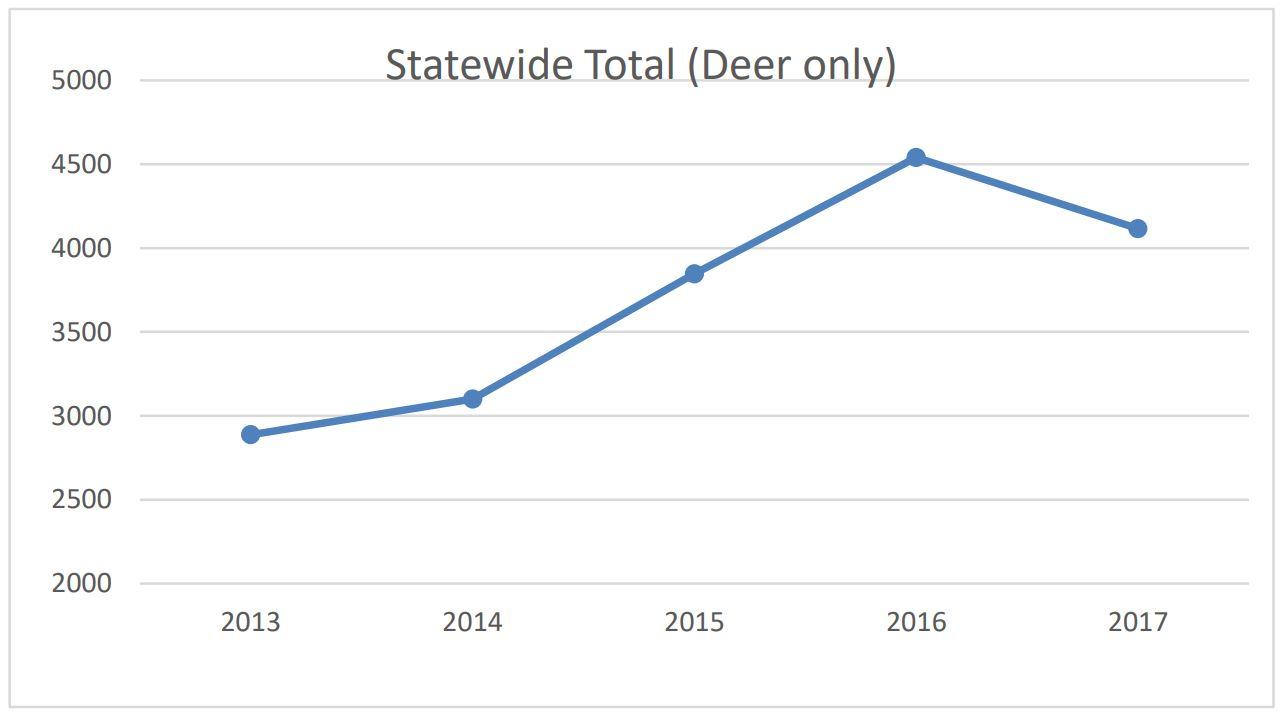 Vehicle-Deer Collisions.jpg