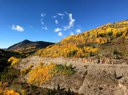 Fall Colors 2018 (2).jpg thumbnail image