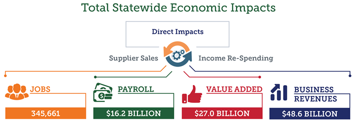Total Statewide Economic Impacts infographic detail image