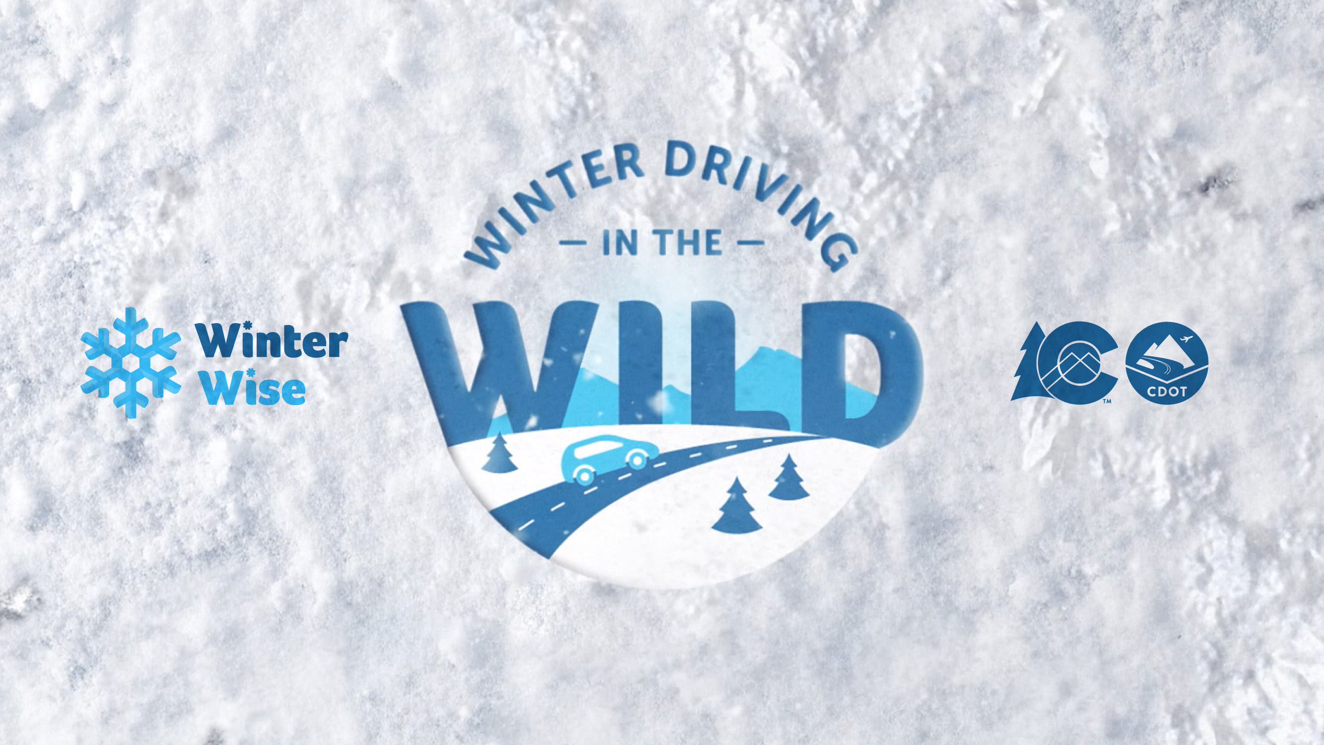 winter driving in the wild.jpg detail image