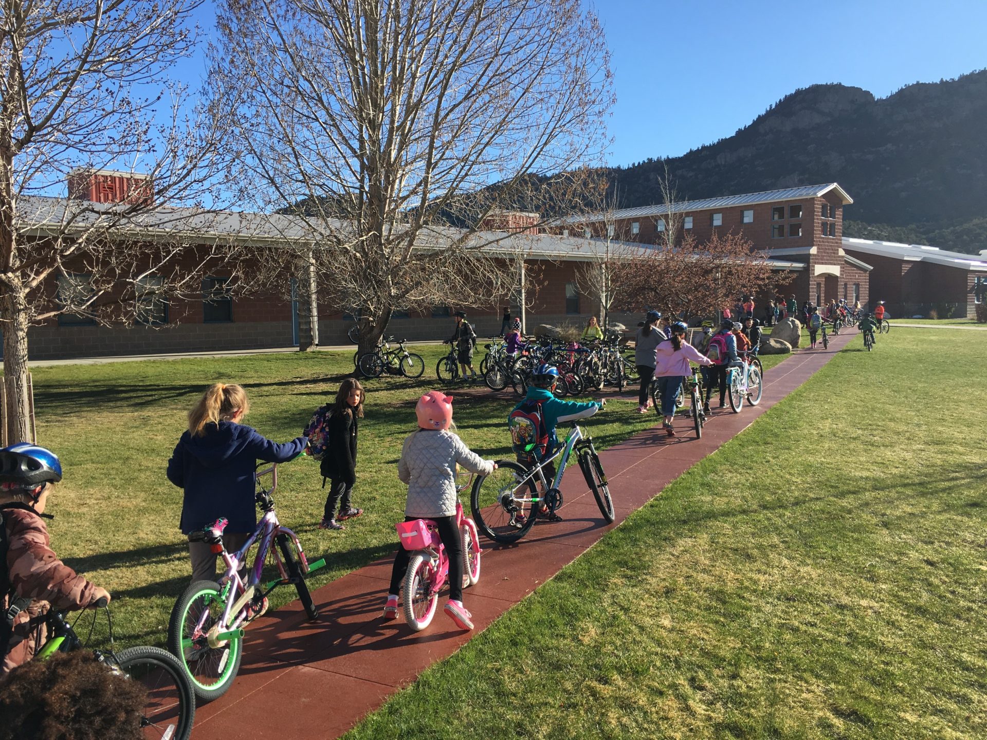 Kids biking to school detail image