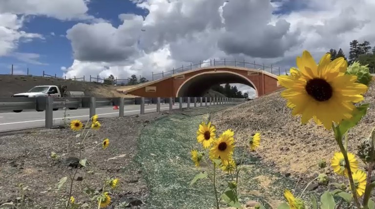 US 160 wildlife overpass road side view