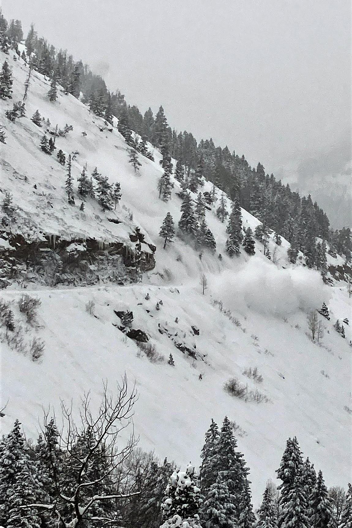 Avalanche along the mountainside detail image