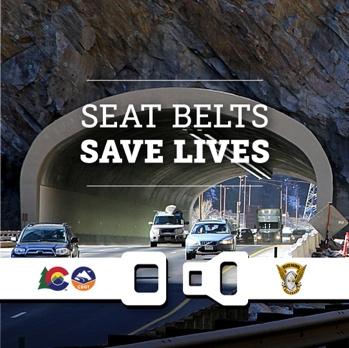 Seat Belts Save Lives Graphic.jpg detail image