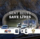 Seat Belts Save Lives Graphic.jpg thumbnail image