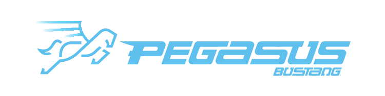 Pegasus logo