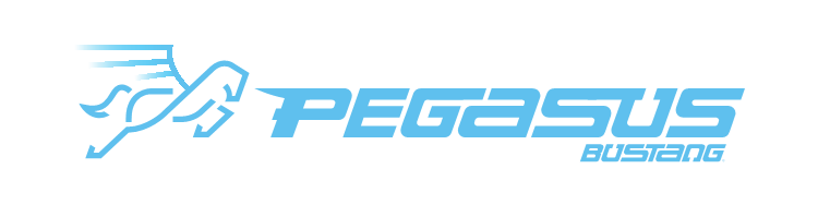 Pegasus Bustang logo detail image