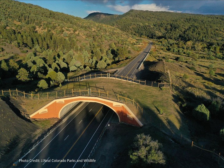 US 160 wildlife crossing overhead shot 