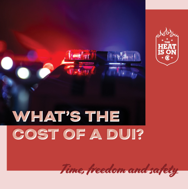 Whats the cost of a DUI Time freedom and safety.png detail image