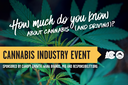 How much do you know about cannabis and driving Cannabis Industry Event graphic.png thumbnail image