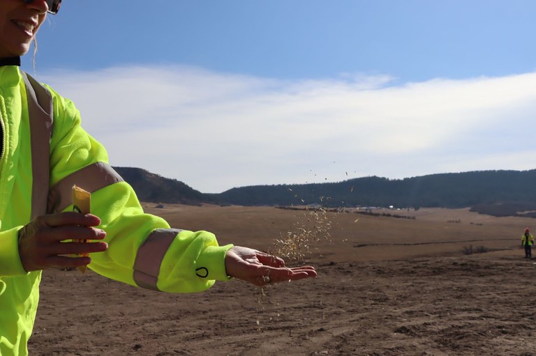 A worker scattering seeds on dirt covered wildlife crossing