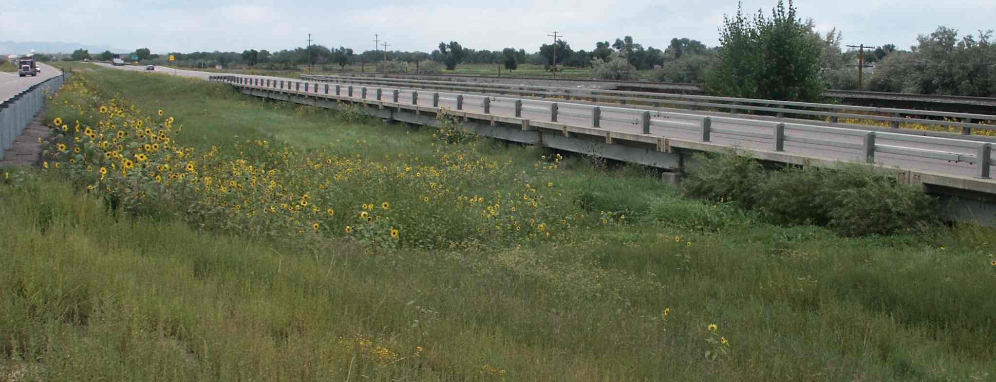 I-25 Northbound over Draw. South of Fountain. detail image