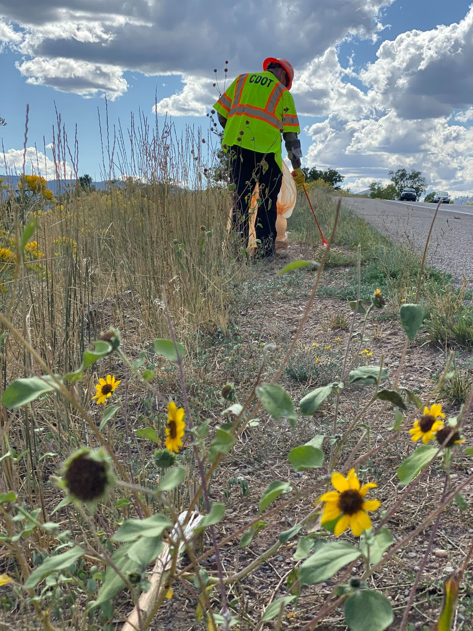 Adopt-a-highway.jpg detail image