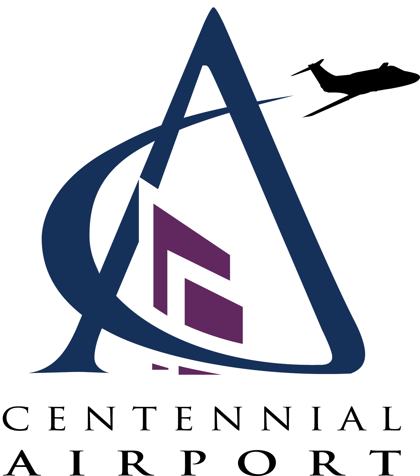 APA Logo detail image