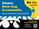 Safety graphic for drivers with the text: "Drivers: Never stop in crosswalks. Yield to pedestrians at intersections. Know the laws. Keep pedestrians safe." The image shows a stylized view from a car dashboard looking at a pedestrian crossing a blue and white crosswalk. Logos include the Colorado state brand, Colorado Department of Transportation, Shift into SAFE, and Bicycle Colorado, along with a QR code and the URL safety.codot.gov. thumbnail image