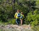 CDOT Water Quality Team walking into the brush.jpg thumbnail image