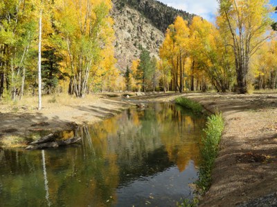 CDOT's Clear Creek Ecological Restoration A restored section of Clear Creek with fall foilage.