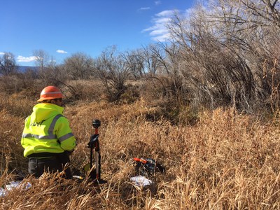 Wetland Delineation in Florence Florence
