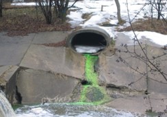 Bright green water at outlet detail image