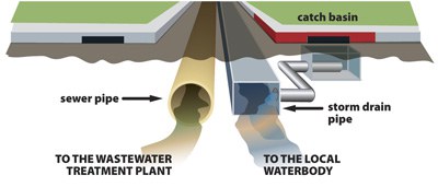 Underground Systems Diagram of the Municipal Separate Storm Sewer System showing stormwater leading to local water body and Sanitary sewer system leading to wastewater treatment plant