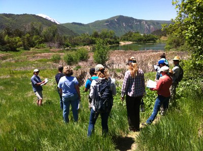 Students learning about FACWet in the field.