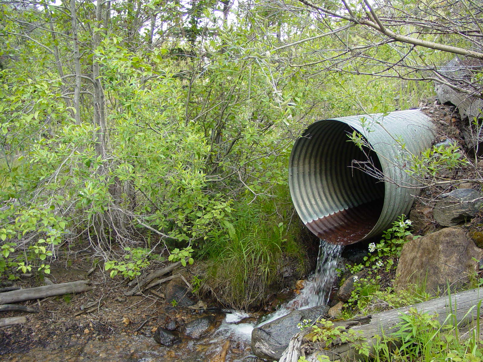 Outlet in Wetland detail image