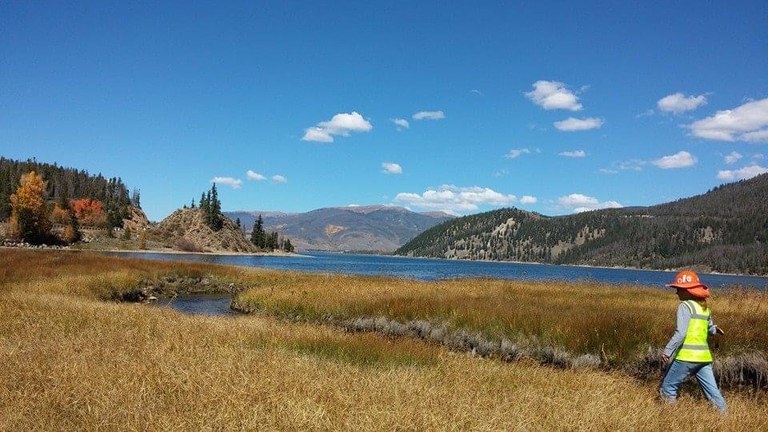 CDOT Staff walking through wetland CDOT employee walking through wetland surrounding Lake Dillon