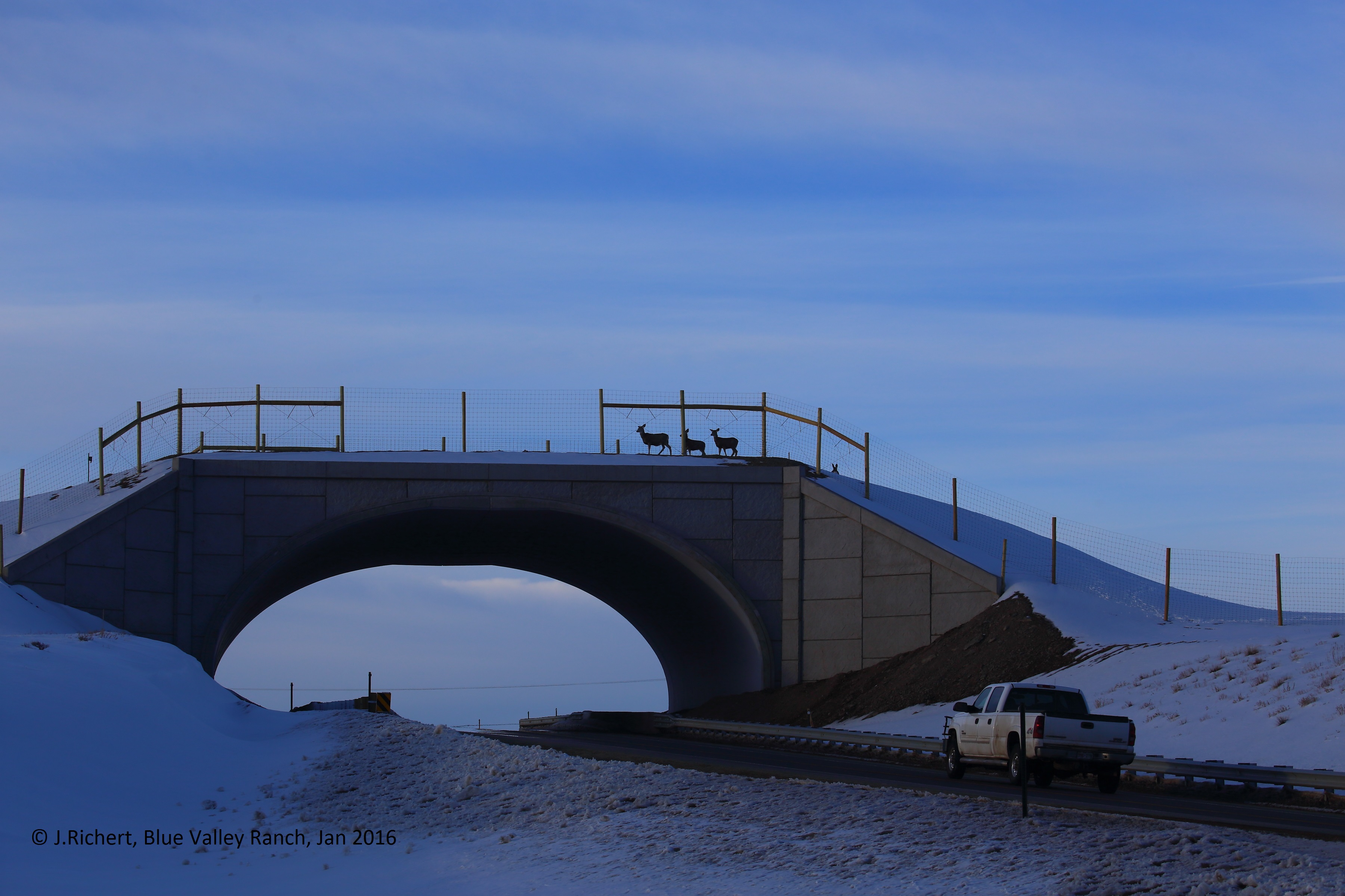 SH 9 Deer Crossing Overpass Jan 2016 detail image