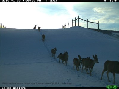 SH 9 Deer Herd Overpass 012316