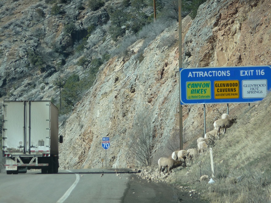 I 70 Glenwood Can Bighorn PWill detail image