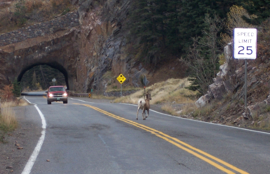 US 550 BearCrkTunnel on RedMtnPass detail image