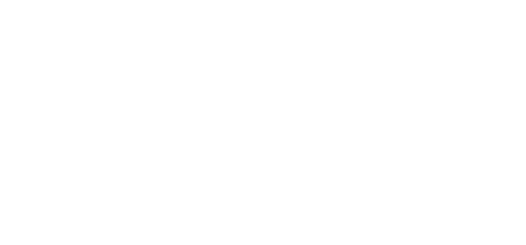 Express Lanes logo