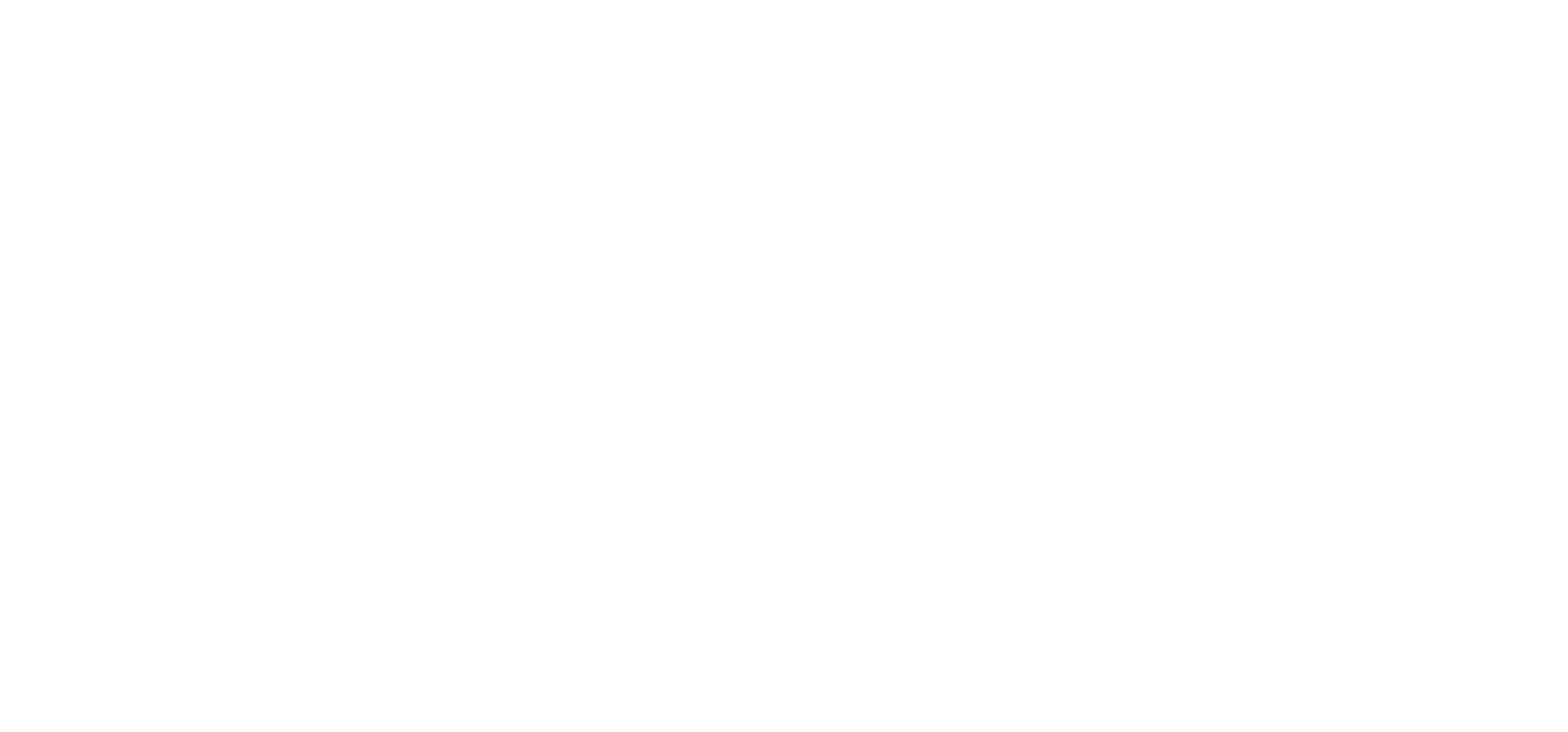 Colorado ExpressLanes Logo White png