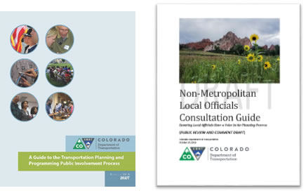 NonMetro Local Officials Consultation Guide Image detail image