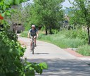 Rider in Cherry Creek thumbnail image