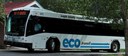 eco transit bus thumbnail image