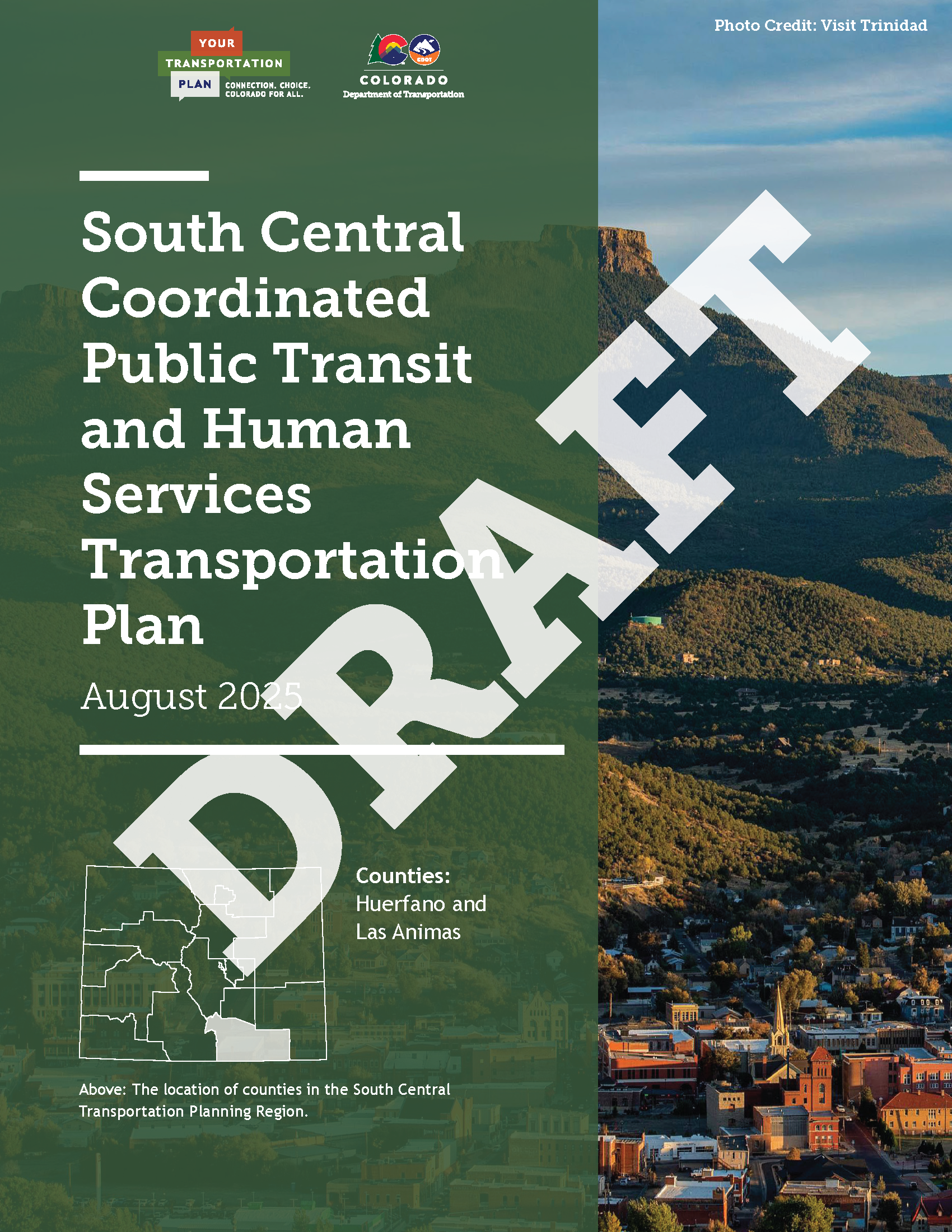 DRAFT SC Regional Transit Plan COVER.png detail image